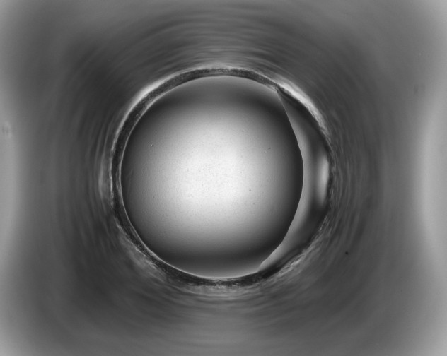 X0000087620980200704271355