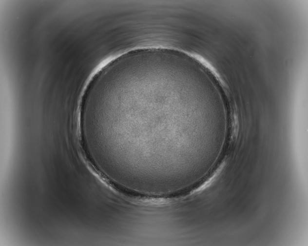 X0000087620982200704271355