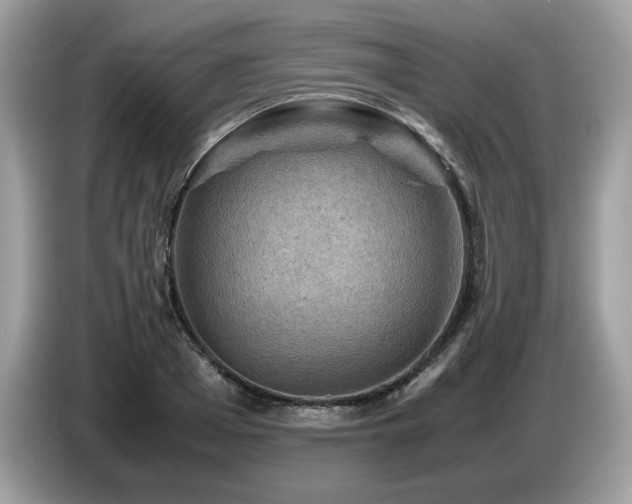 X0000087620985200704271355