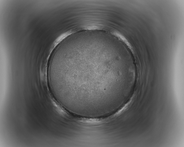 X0000087620986200704271355