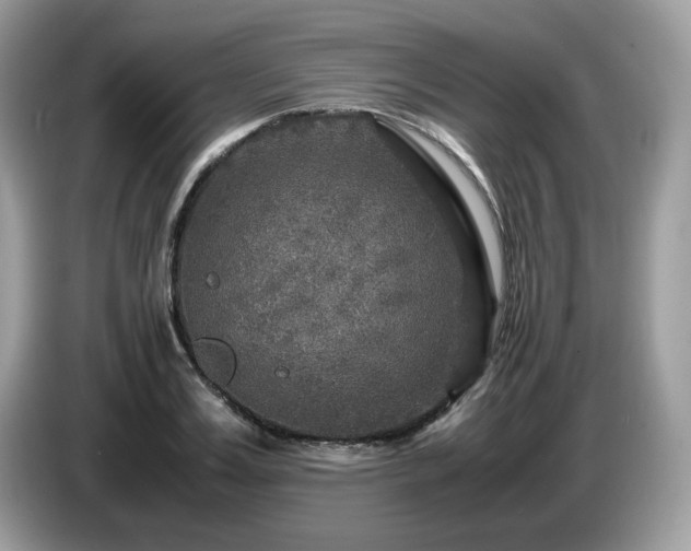 X0000087620987200704271355