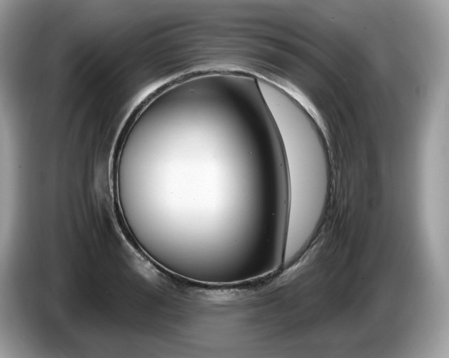 X0000087620988200704271355