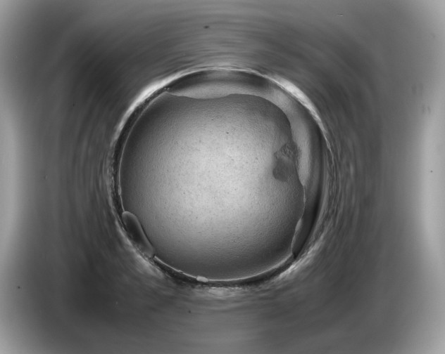 X0000087620989200704271355