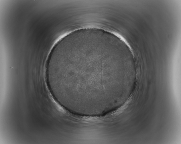 X0000087620991200704271355