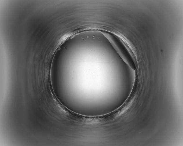 X0000087620993200704271355