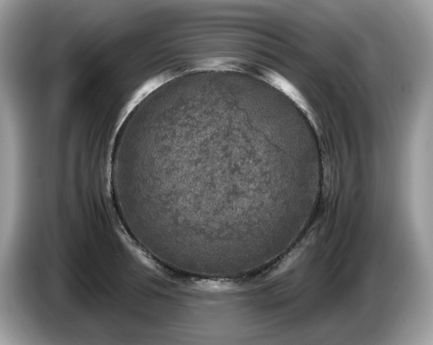 X0000087620994200704271355