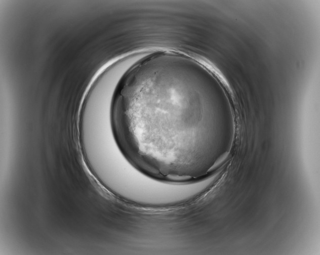 X0000087620996200704271355