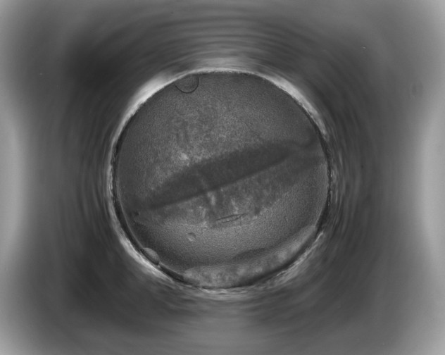 X0000087620998200704271355