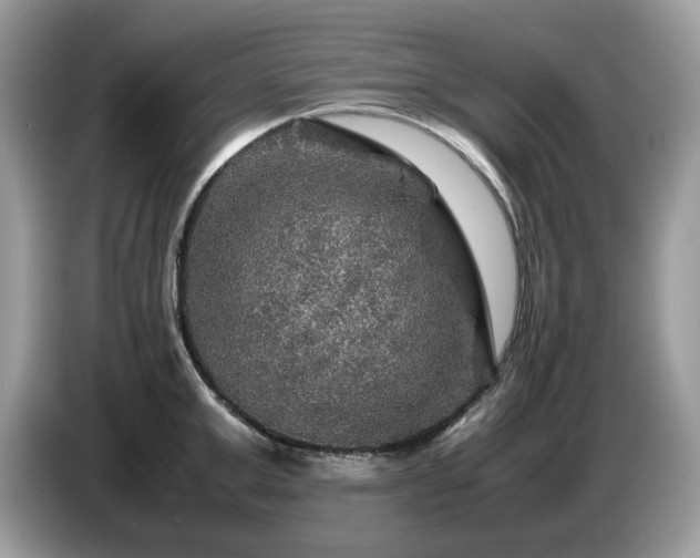 X0000087620999200704271355