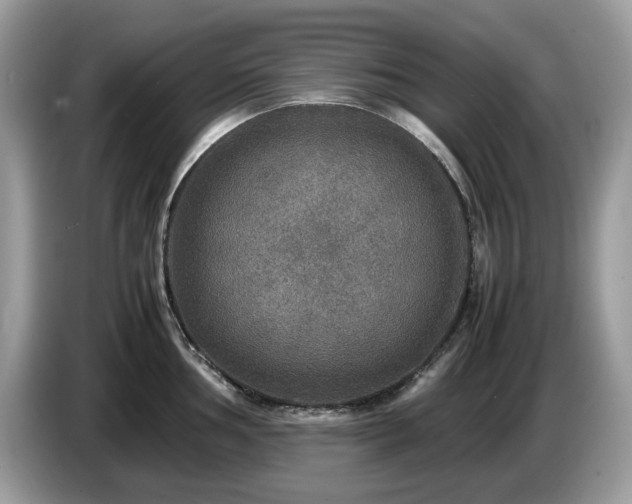 X0000087621002200704271355