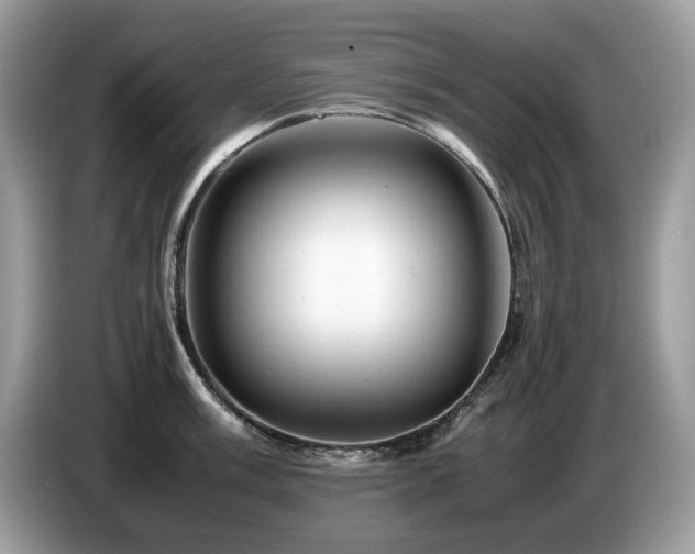 X0000087621003200704271355
