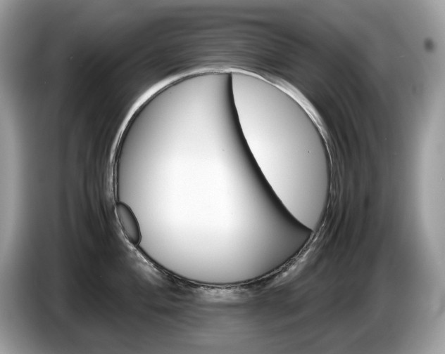 X0000087621004200704271355