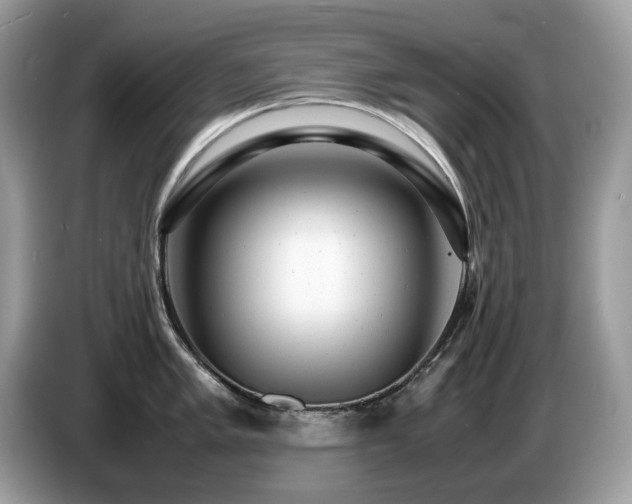 X0000087621005200704271355