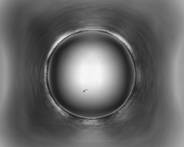X0000087621006200704271355