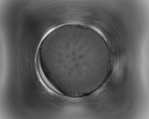 X0000087621007200704271355