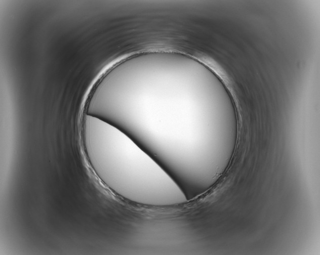 X0000087621008200704271355