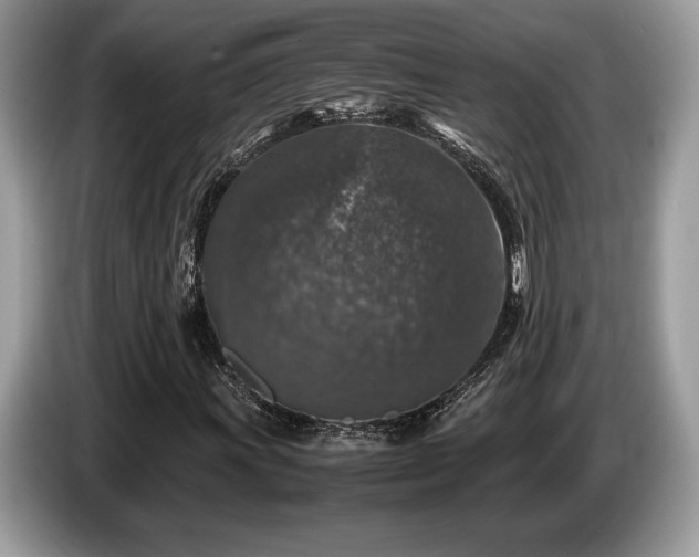X0000087621011200704271354