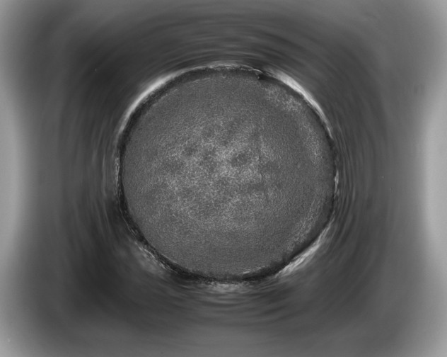 X0000087621021200704271354