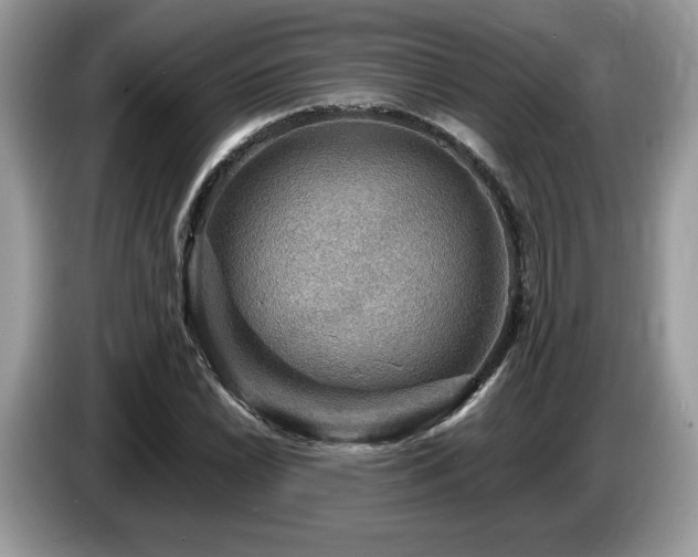 X0000087621022200704271355