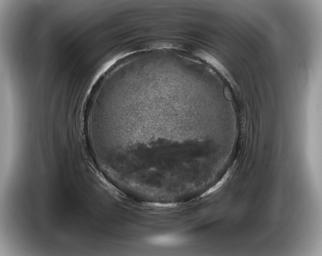 X0000087621023200704271355
