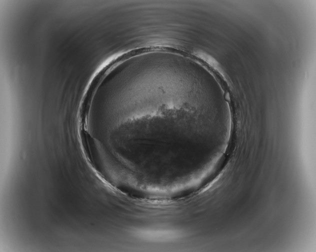 X0000087621024200704271355