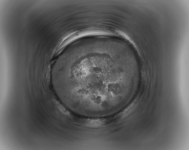 X0000087621025200704271355