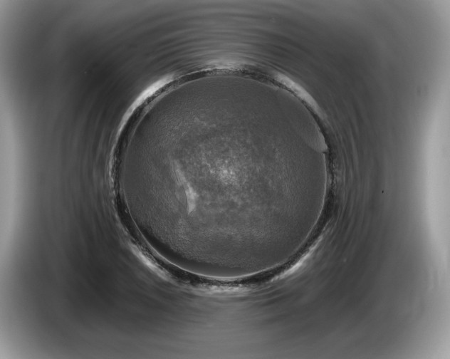 X0000087621026200704271355