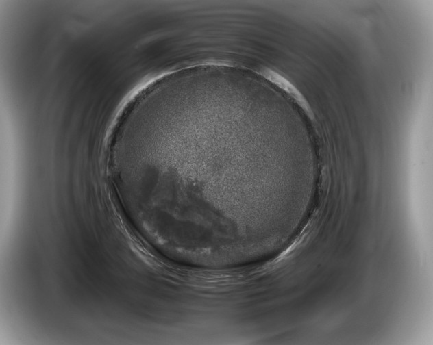 X0000087621027200704271355