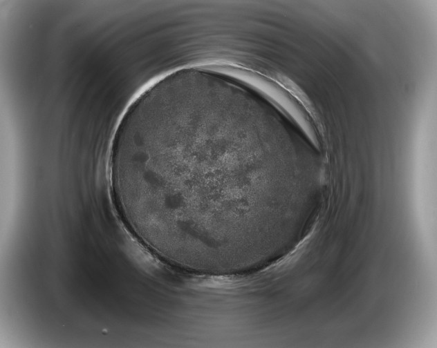 X0000087621028200704271355