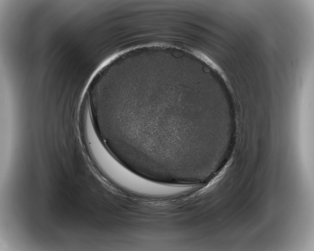 X0000087621029200704271355