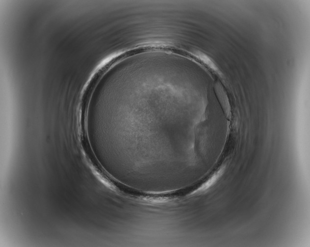 X0000087621030200704271355
