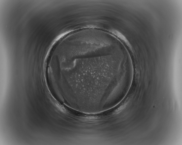 X0000087621035200704271355
