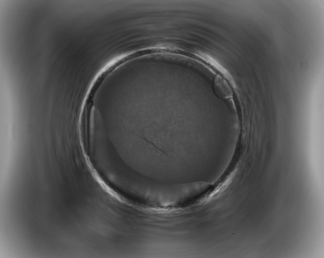 X0000087621037200704271355