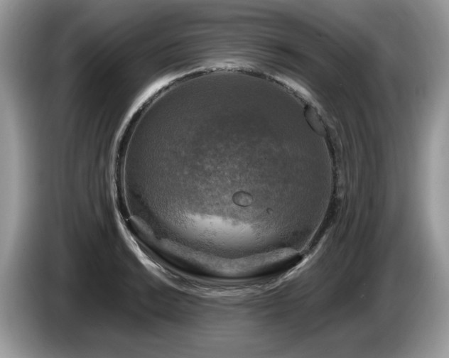 X0000087621038200704271355