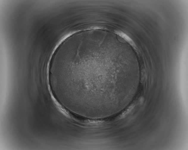 X0000087621039200704271355