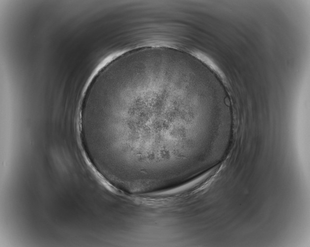 X0000087621040200704271355
