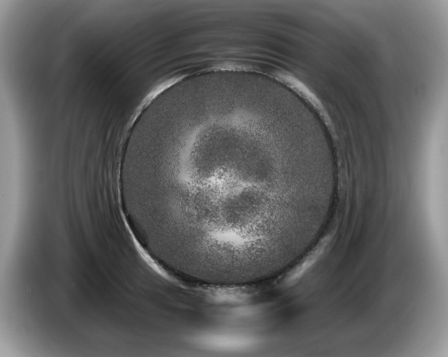 X0000087621041200704271355