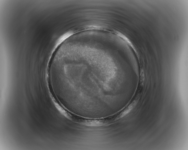 X0000087621042200704271355