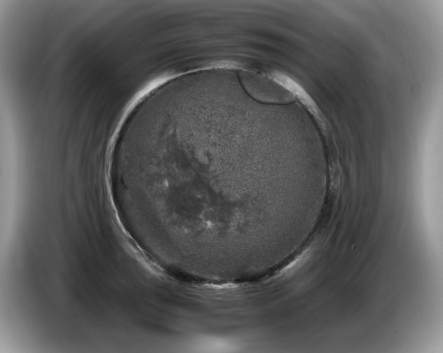 X0000087621043200704271355