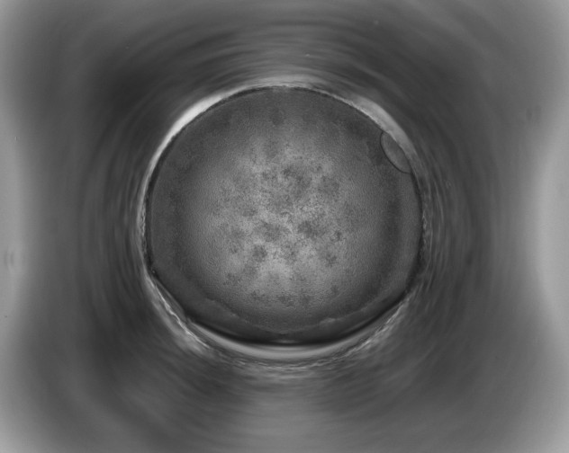 X0000087621044200704271355