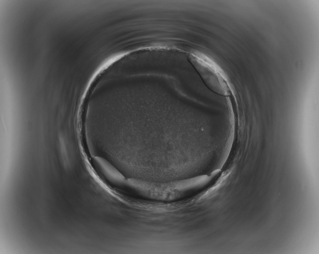X0000087621045200704271355