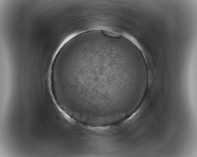 X0000087621048200704271355