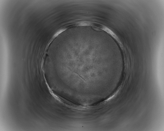 X0000087621049200704271355