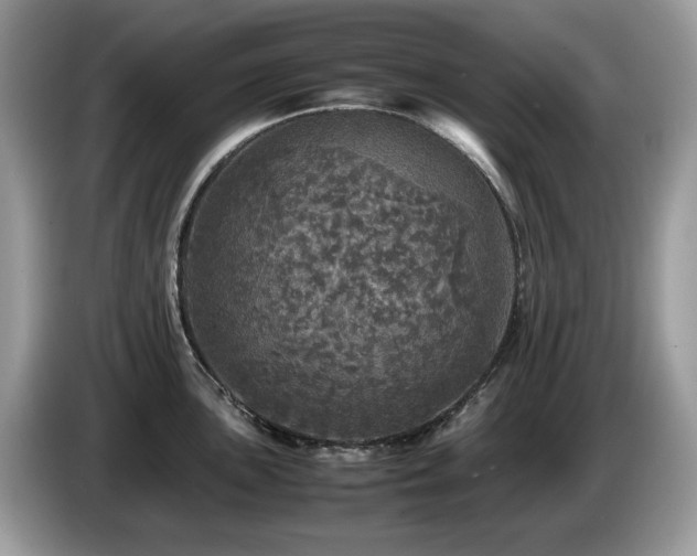 X0000087621051200704271355