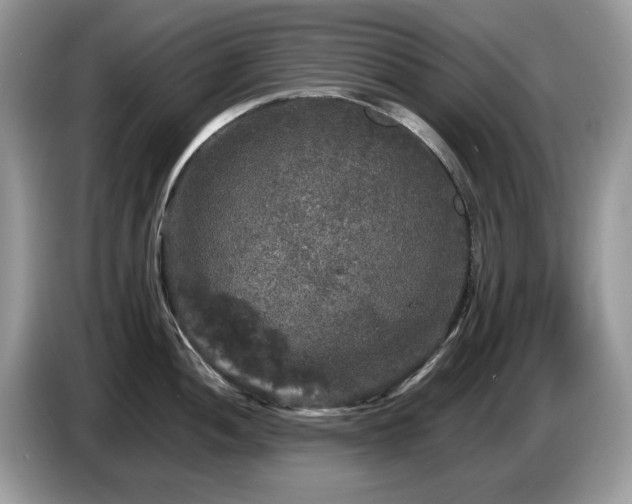 X0000087621052200704271355