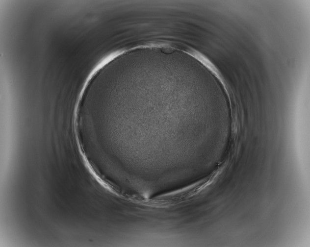 X0000087621053200704271355