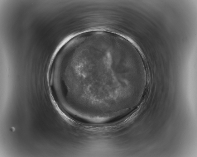 X0000087621054200704271355