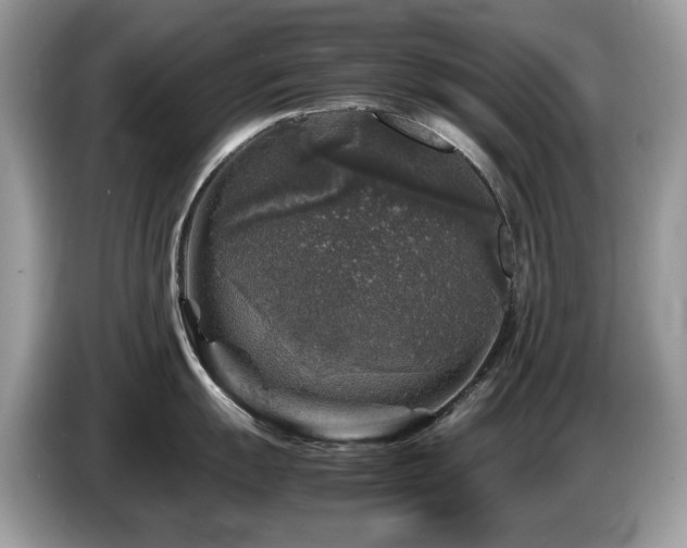 X0000087621055200704271355