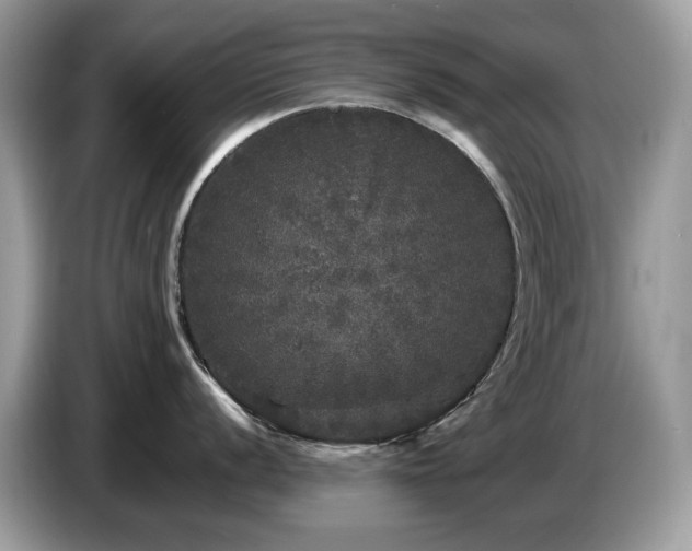 X0000087621056200704271355