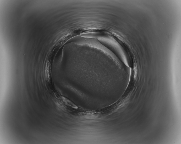 X0000087621060200704271354